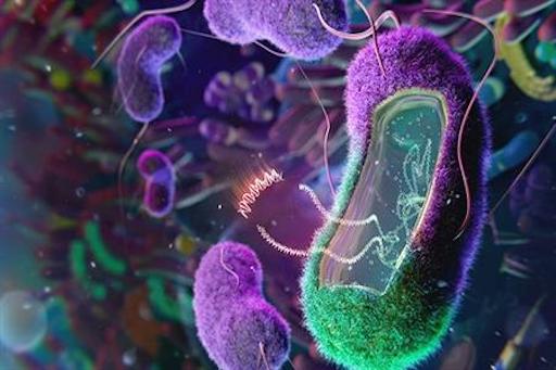 Engineering the Microbiome to Potentially Cure Disease