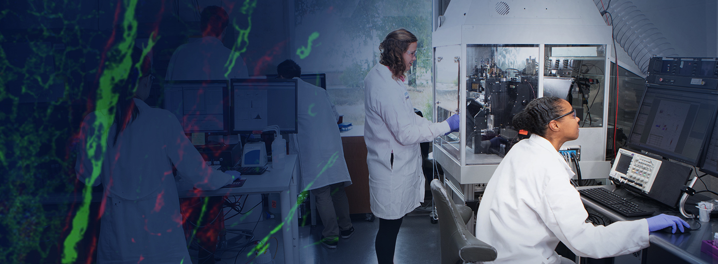 Three lab techs working in scientific laboratory