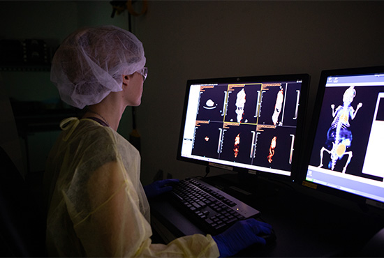 woman reading radiology images