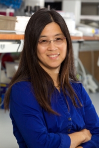 Louise Laurent, MD, PhD 